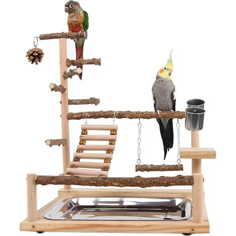 Aire de Jeux pour Oiseaux Terrain de Jeu pour Perroquet avec Support Perchoirs Gobelet d'alimentation Balançoire Échelle et Plateau pour Calopsitte Cockatiel, Bois, Taille 45x37x26 CM A (1/5)
