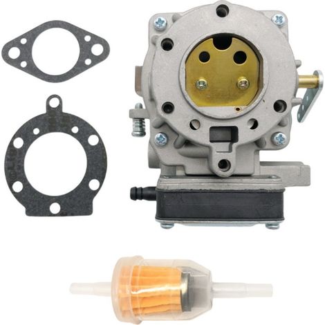 Carburateur compatible avec 693480, remplaçant 694026, 693479, 694056, LT1000, 808-032-1 (1/4)