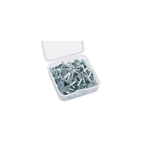 Lot de 80 clous de toiture en feutre pour abris de jardin (1/5)