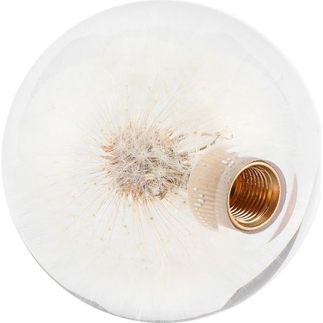 Pommeau de levier de vitesse de 7,1 cm (2,8 po) orné de véritables pissenlits en cristal, accessoire universel avec adaptateur à 3 filetages (1/5)