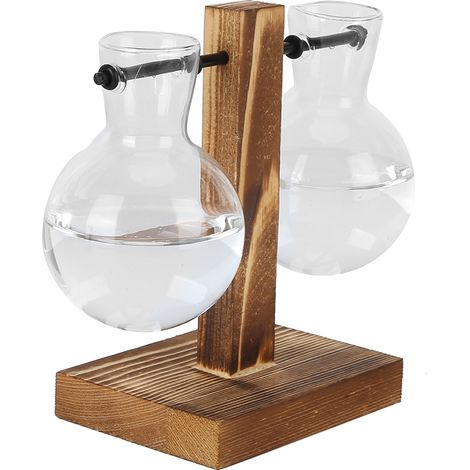 Cache-pot en bois créatif pour hydroponie, vase en verre transparent pour plantes Pothos, décoration de table pour maison, modèle C (1/5)