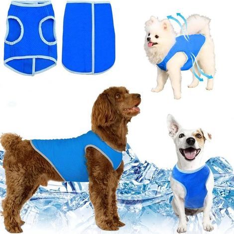 Kühlweste für Hunde – Brustumfang 85 cm – Größe M – Schnelltrocknend und atmungsaktiv (1/5)