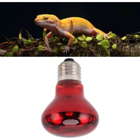 E27-Glühbirne für Amphibien, Schlangen, Reptilien, Wärmelampe, Nachtlicht, Tageslicht, 25 W (1/5)