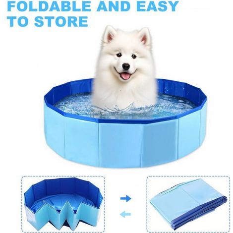 50 × 10cm Piscine pour Chien,Pliable Piscines pour Chat, avec Jouets Aquatiques, Adapté pour Le Bain des Petits Chiens et Chats (1/4)