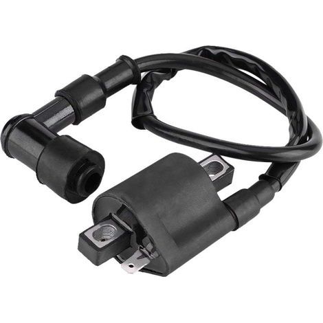 Lot de 2 bobines d'allumage compatibles avec motos tout-terrain, VTT, scooters, karts et cyclomoteurs 150-250cc, allumage fiable pour moteur 4 temps, pièce de rechange durable. (1/5)
