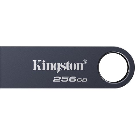 Kingston Technology DataTraveler 256GB SE9 G3 - Dunkles Nickel (1/4)