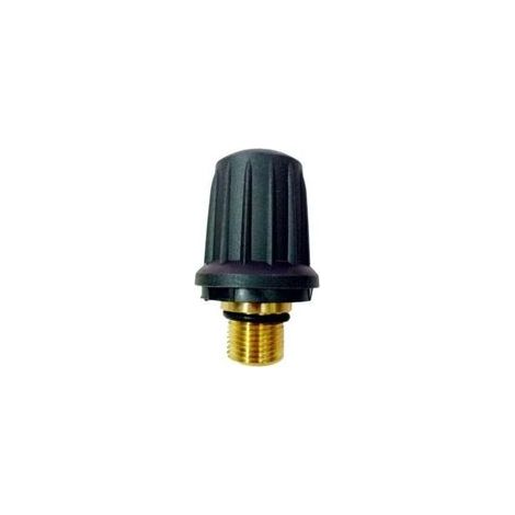 Bouchon de soupape de sécurité en laiton de rechange 4.590-105.0 pour nettoyeur vapeur Karcher SC1.010 SC1.020 SC2.000 SC3.000 Series Accessoires Bouchon de sécurité de remplacement c