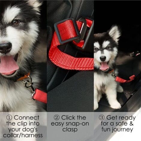 QORVA-Ceinture de sécurité pour chien, corde de traction pour animal de compagnie