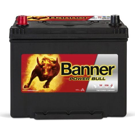 Batterie voiture 12V 70Ah 600A – P7024 – Plomb Calcium sans entretien – Pour démarrage fiable de véhicules – Banner