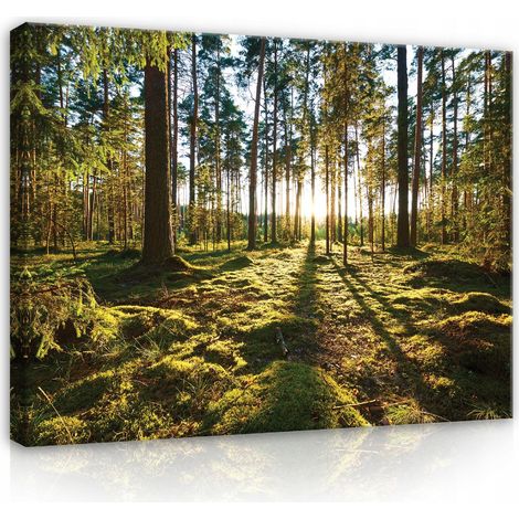 toile fort arbres nature grande 120x80 (1/3)