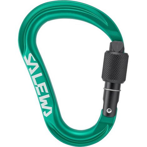 Salewa Ortles HMS Unisex-Kletterkarabiner grün 00-00000720025210 (1/4)