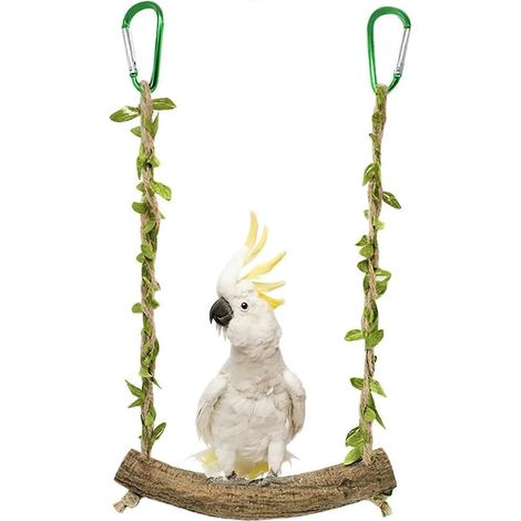 Balançoire bois suspendue pour cage à oiseaux, perchoir à crochets, jouet à mâcher pour perruche ondulée (1/4)