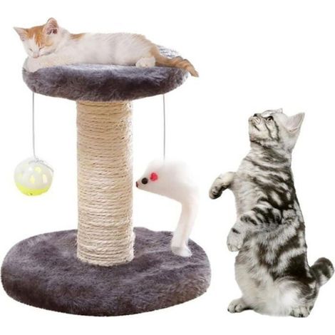Arbre à Grimper Griffoir pour Chats,Arbre à Chat avec Plateforme en Peluche,Arbre à Chat,Griffoir pour Chats (1/4)