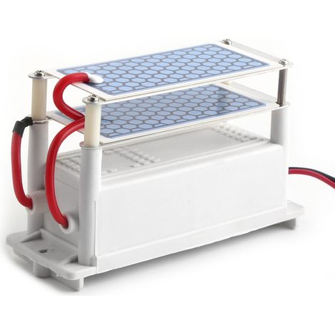 Générateur d'ozone portable pour voiture 12 V 10 g/h, ozoniseur à plaque céramique, stérilisateur d'air