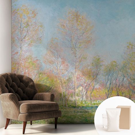 Fototapete - Tapete Vliestapete mit Kleber - Wandtapete Moderne Wandbild Schlafzimmer Wohnzimmer Frühlingspark 250x250 cm (1/5)