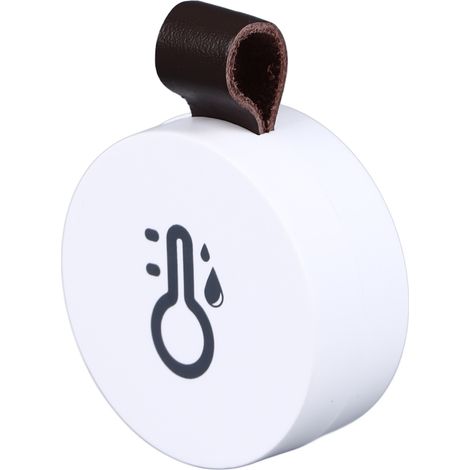 Thermomètre et hygromètre électronique Bluetooth 5.0, mini-hygromètre-thermomètre pour la maison (1/5)
