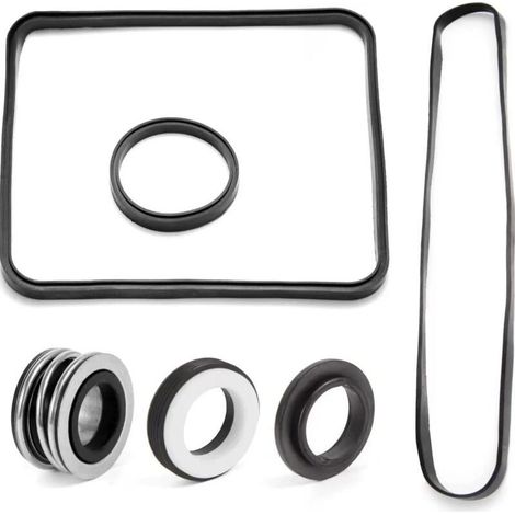 Kit de joints pour pompe piscine SP1600,SP2600,EPDM,étanchéité,piscine résidentielle (1/5)