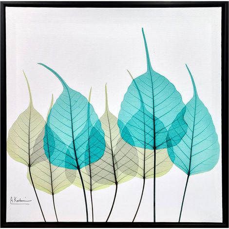 Tableau dessin feuilles sur cadre en bois noir 40x40 cm - LEAF (1/4)