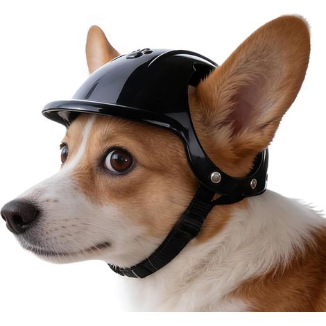 Casque pour Chien,Confortable avec Trous pour Oreilles,Casque-Chapeau pour Chiens de Petite Taille - Adapté aux Petites, Moyennes et Grandes Races, Moto, Camping et Voyage (1/5)