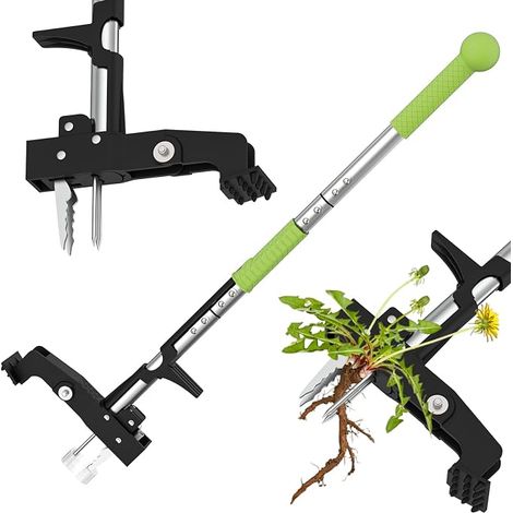 Désherbeur Manuel, Extracteur De Racines À 4 Griffes Pour Jardin, Patio Et Pelouse, Outil D'Extraction De Pissenlits À Long Manche Et Désherbeur Sans Flexion Avec Pédale. (1/5)
