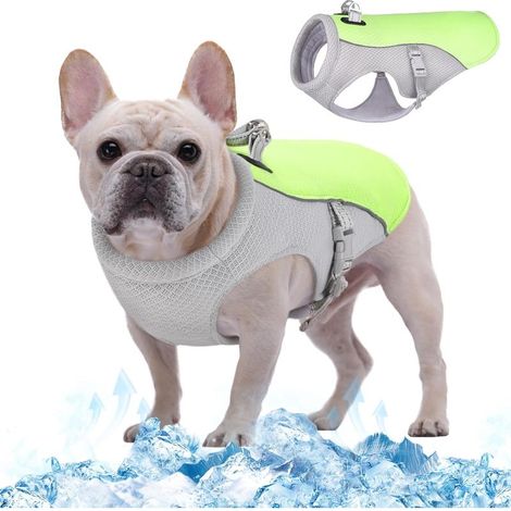 Kühlweste für Hunde, Kühlmantel für Hunde, Atmungsaktive Kühljacke für Haustiere, Sommerweste für Hunde, für Outdoor-Aktivitäten (1/5)