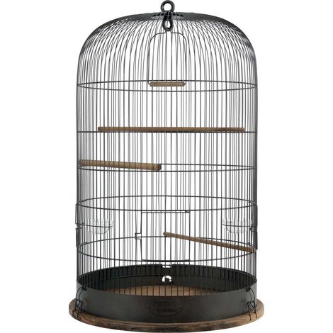 Zolux – Cage pour oiseau en métal bronze 74 cm – Plateau en bois – 3 perchoirs et balançoire – 2 bols en verre – Fond à grille (1/4)