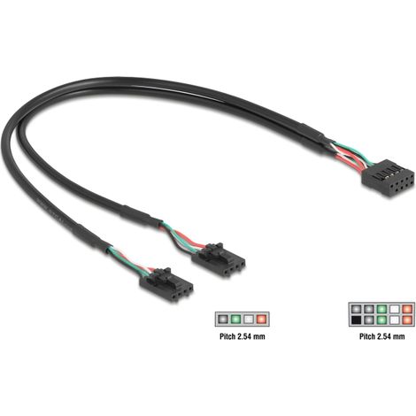 Delock Kabel USB 2.0 Pfostenbuchse 2,54 mm 10 Pin zu 2 x USB 2.0 Pfostenbuchse 2,54 mm 4 Pin 30 cm