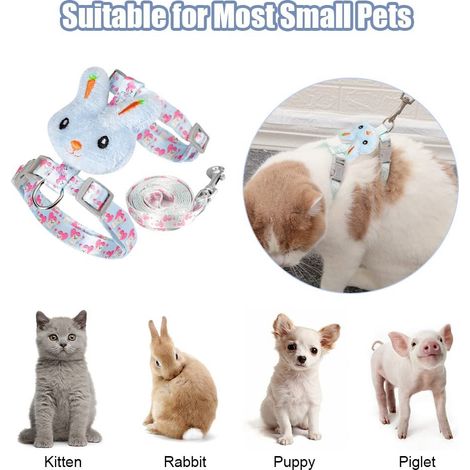 Harnais et Laisse pour Petit Animal - Ensemble de Promenade Confortable et Ajustable pour Lapin, Chat et Chiot (1/5)