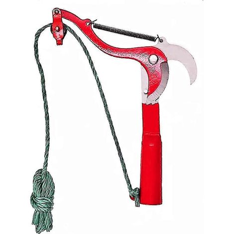 Taille-arbustes et buissons professionnels (1/5)