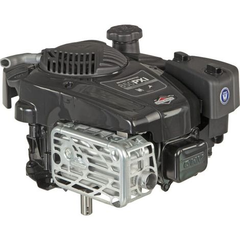 Moteur BRIGGS ET STRATTON 123P020011H5