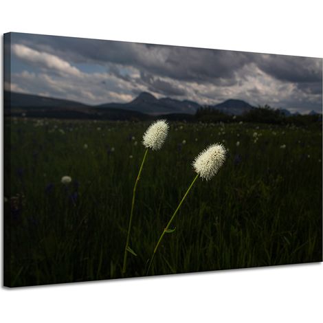 Leinwanddruck Natur Wildblumen 120x80 cm