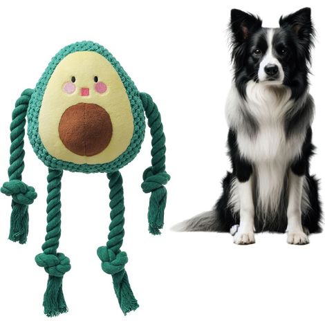 Jouet en peluche sonore pour chien (1/5)