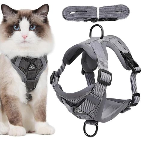 1 - Harnais Chat - Laisse Anti-évasion - Réglable 4 Points avec Bandes Réfléchissantes - Filet Respirant pour Promenade Sécurisée - Gris - Taille M (1/5)