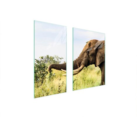 GLASSCHUTZPLATTE 75x52 ELEFANT (1/5)