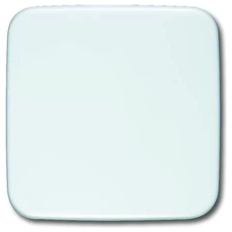 Busch-Jaeger Blindzentralscheibe aws 54x54mm 1576 C-214 (1/2)