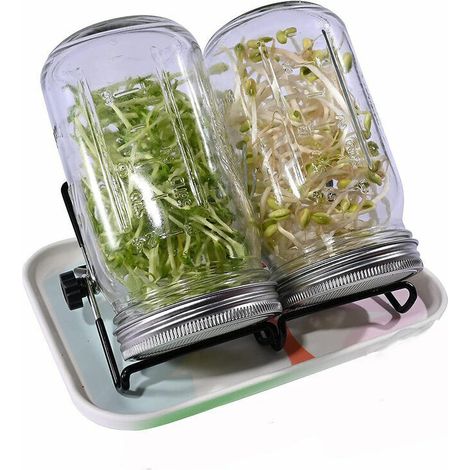 32 oz Seed Sprouter with Stainless Steel Lids, Tray, Holder and Seed Dispenser MUMU (1/4)