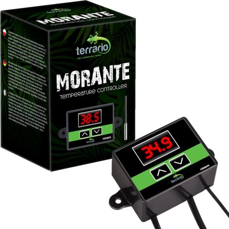 Terrario Morante - terrario thermo with probe (1/5)