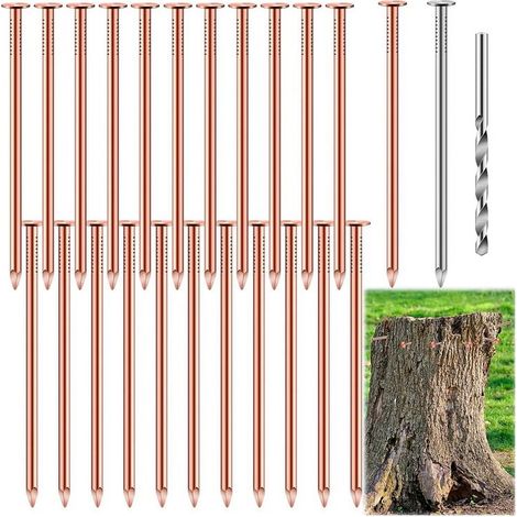 Clous En Cuivre - 3,5 Pouces - Pour Élimination De Souche D'Arbre - 25 Pièces (1/4)