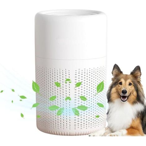 Air purifier for home and bedroom — Compact purifier with Night mode — Triple filtration system, integrated aroma diffuser, purified air (1/5)