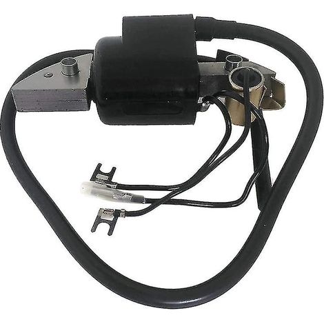 Bobine d'allumage pour moto compatible avec Honda G150 G200 G300 G400 30500-887-303 30560-883-015 (1/5)