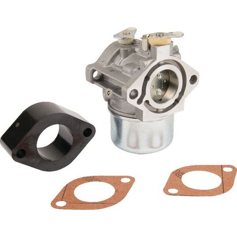 715625 - Carburateur pour moteur BRIGGS et STRATTON (1/2)