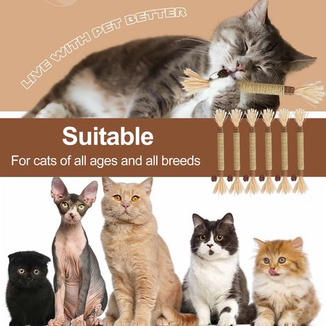 Jouet Pour Chat - Bâtonnet En Argile Naturelle Et Chanvre Pour Nettoyage Dentaire - Pour Chat Intérieur - Lot De 6 (1/5)