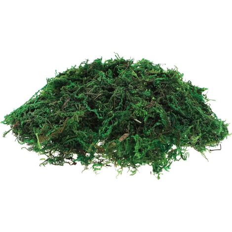 Mousse artificielle décorative (1 paquet) - Plantes décoratives en pot pour terrarium ou bonsaï - 13 x 9 x 3 cm - Décoration intérieure (1/2)