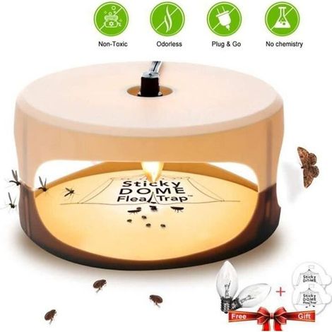Piège à puces avec 2 disques de colle Étanche Non toxique Aucun insecticide Piège Killer Meilleur lutte antiparasitaire (1/4)