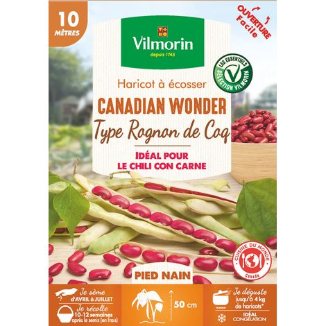 Haricot Nain à Ecosser Canadian Wonder (type Rognon de Coq) - 10 m - Cuisine du Monde Vilmorin