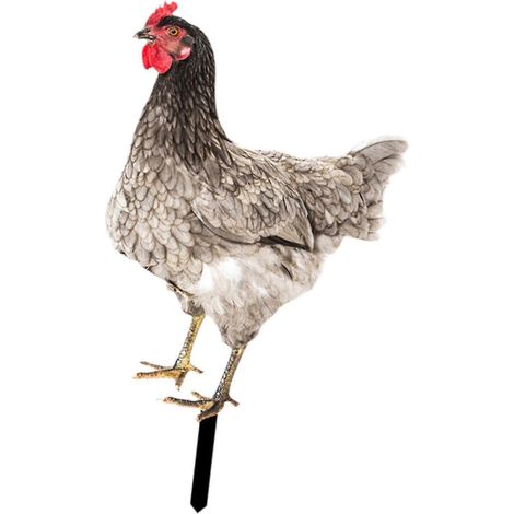 Statue de coq pour jardin, décoration extérieure, sculpture de poule pour fête de Noël-Style C