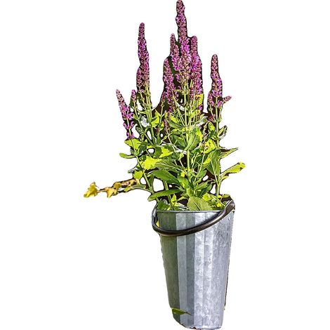 Maceta de jardín, acero galvanizado, 13 cm de alto, ligera, resistente a la intemperie, diseño versátil. (1/5)