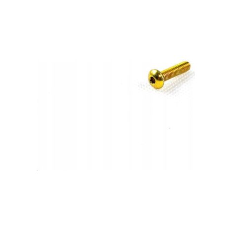 TORNILLO DE CARENADO DE PARABRISAS M5x20 DORADO MOTOR HICIOR Chopper SCOOTER MOTOCICLETA