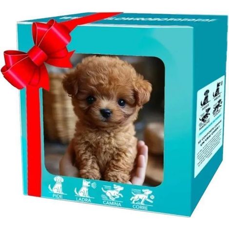 Robot Chiot Multicolore Réaliste, Jouet Interactif qui Agit comme un Vrai Chiot