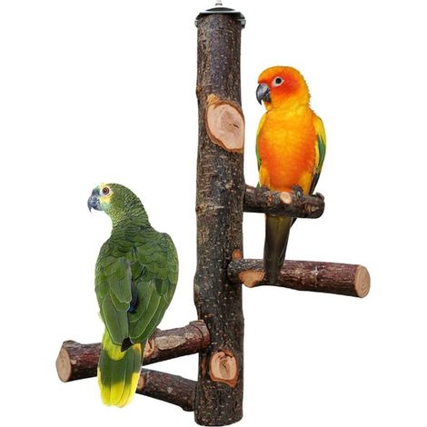 Perchoir pour oiseaux en bois naturel, support de branche robuste pour cage à perroquet (1/5)